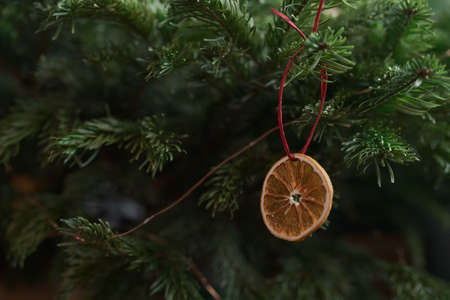 Closeup small christmas tree with dried oranges as decorations for holidaysの写真素材