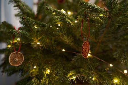 Closeup of christmas tree with natural decorations in the eveningの写真素材