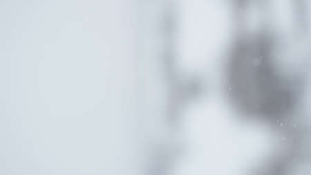 vertical bokeh background of snowfall with shallow depth of field