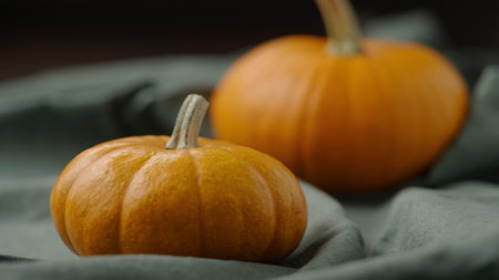 decorative small pumpkins on wood tableの写真素材