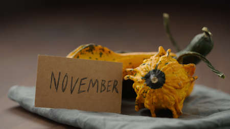 november card next to decorative pumpkins on wood tableの写真素材