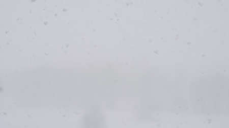 snow falling with blurred bacground