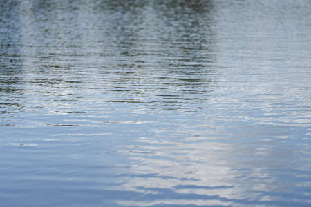 Water surface of a lake with small waves from wind