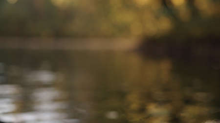 blurred background of autumn lake