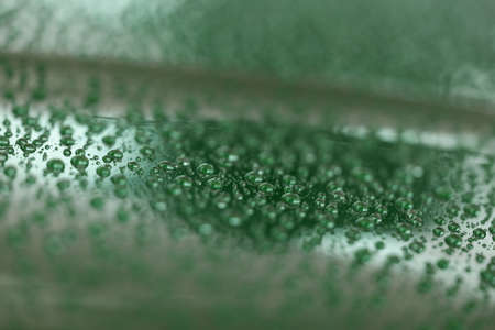 Water drops on a hydrophobic car paint surfaceの写真素材