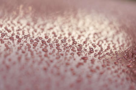 Water drops on a hydrophobic car paint surfaceの写真素材