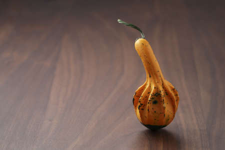 Decorative small pumpkin on wood tableの写真素材