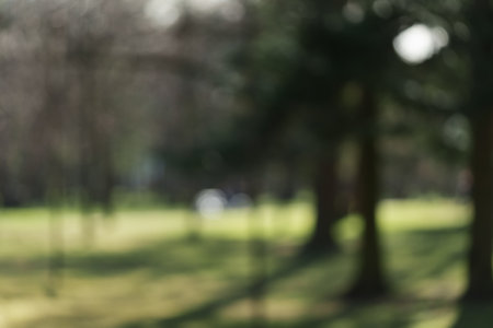 Defocused background of sunny spring day of green parkの写真素材
