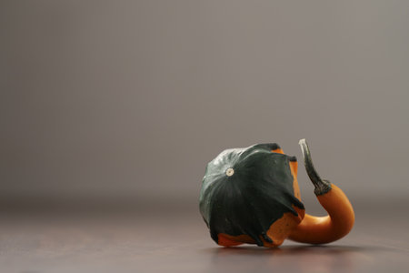 Decorative small pumpkin on wood tableの写真素材