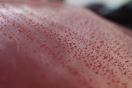 Wet red car with hydrophobic coatingの写真素材
