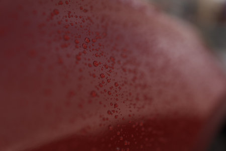 Wet red car with hydrophobic coatingの写真素材