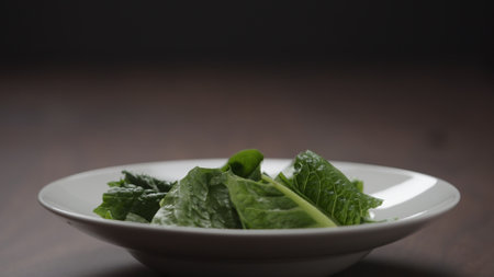 making salad put romaine leaves in white bowlの写真素材