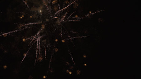 fireworks in dark sky, celebratation