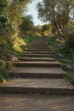 Mont Boron trail path for walking or hikingの写真素材