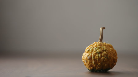 small decorative warty pumkin on walnut table with copy spaceの写真素材
