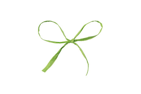 Green paper ribbon bow isolated on white backgroundの写真素材