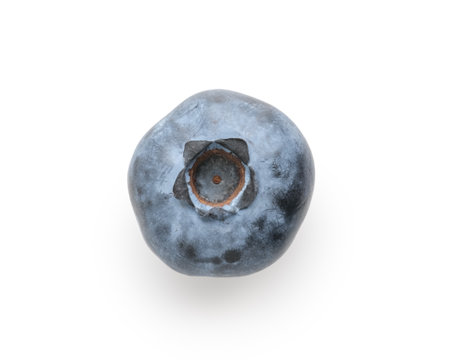 Big blueberry isolated on white backgroundの写真素材