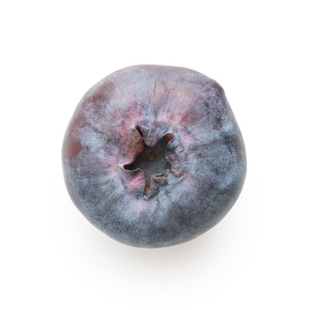 Big blueberry isolated on white background
