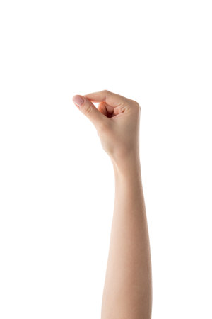 Young female hand to hold something isolated on white backgroundの写真素材