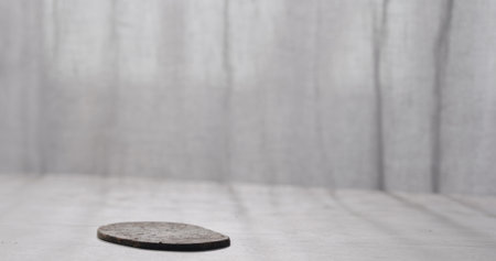 Pine forest after a large scale fire in France, Landscape of a burnt forest, New green vegetation after a forest fireの写真素材