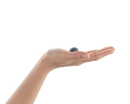 Female hand hold big blueberry isolated on whiteの写真素材