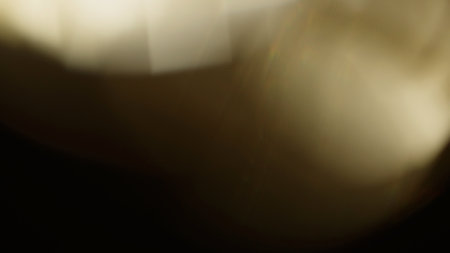 Real lens flare with strong sun backlight and light leaksの写真素材