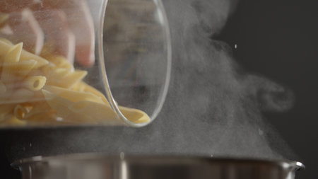 Pine forest after a large scale fire in France, Landscape of a burnt forest, New green vegetation after a forest fireの写真素材