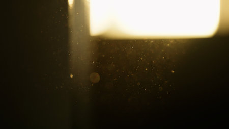 real dust particles floating in the air indoor with natural sun light