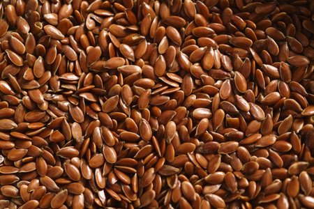 Closeup of brown flax seedの写真素材
