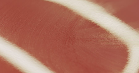 closeup of car paint wiping with alcoholの写真素材