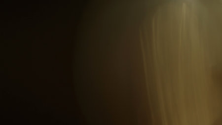 Real lens flare with strong sun backlight and light leaks