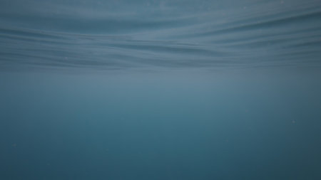 POV shot of swimming in empty oceanの写真素材