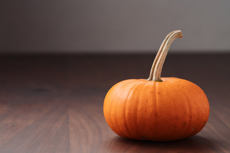 Small orange pumpkin on black walnut table with copy spaceの写真素材