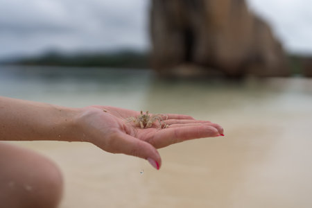 Young female hand show small sand crab on a beachの写真素材