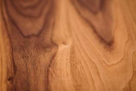 Closeup of real black walnut wood texture with natural grainの写真素材