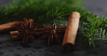 spruce twig with cinnamon and anise on terrazzo countetopの写真素材