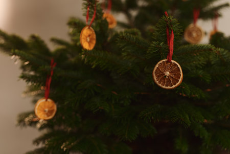 Dried orange as a decoration hanging on christmas treeの写真素材