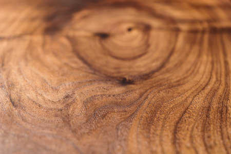 Angle closeup shot of black walnut wood surfaceの写真素材