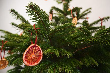 Closeup small christmas tree with natural decorations indoorの写真素材