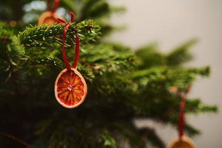 Closeup small christmas tree with dried oranges as decorations for holidays
