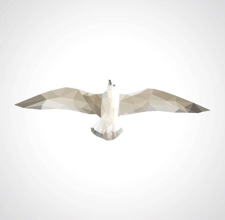 polygonal seagull in flight on a white backgroundの写真素材