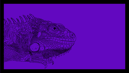 iguana drawn vector line monochrome on purpleのイラスト素材