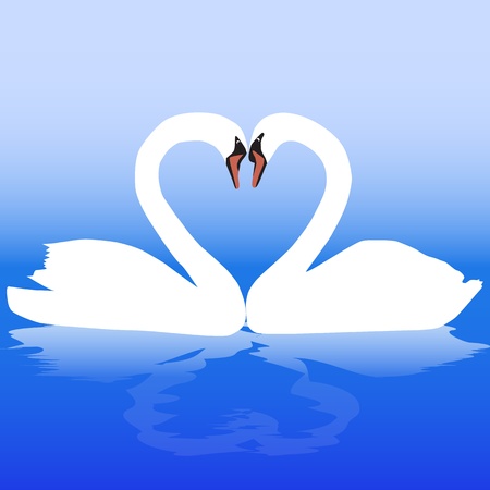 Two white swans with love.のイラスト素材