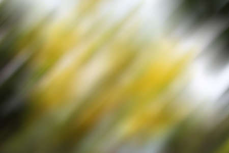 Abstract art of colorful bokehの写真素材