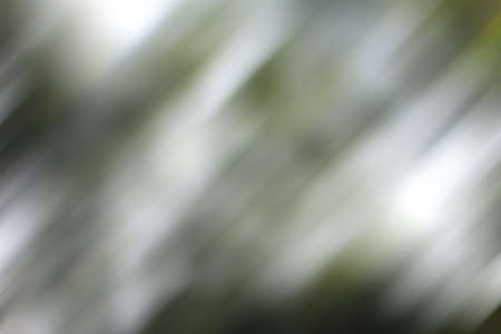 Abstract  background bokeh of Naturalの写真素材