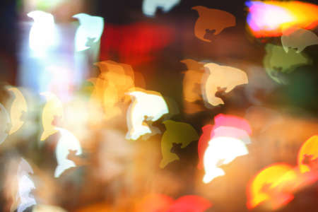 Multicolour bokeh dolphin shape ,the art from night lightsの写真素材