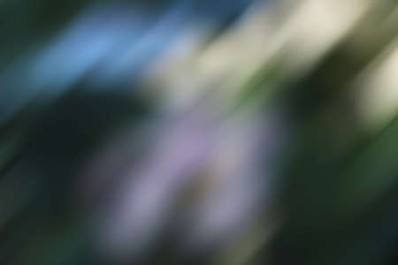 Abstract bokeh Caused by naturalの写真素材