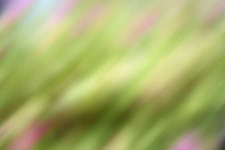 Abstract soft bokeh and colors beautifulの写真素材