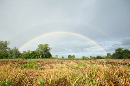 Double rainbows after the rain In the meadow at Thailandの写真素材
