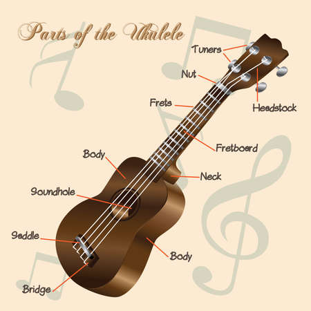 Parts of the Ukulele. Vector illustration.のイラスト素材